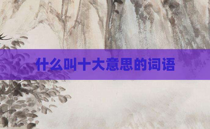 什么叫十大意思的词语