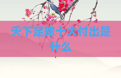 天下足球十大付出是什么