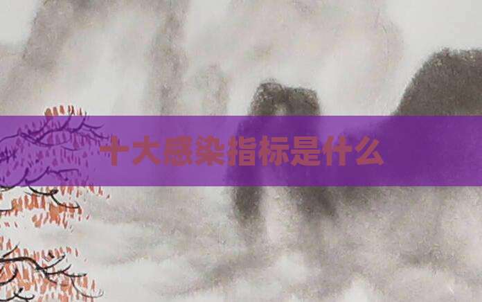 十大感染指标是什么