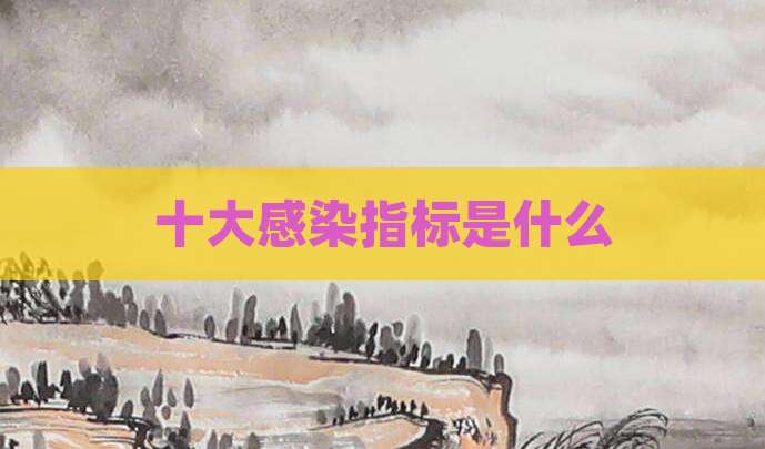 十大感染指标是什么