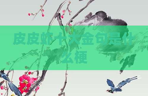皮皮虾十大金句是什么梗