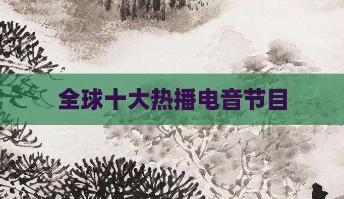 全球十大热播电音节目