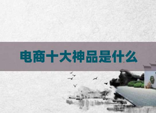 电商十大神品是什么