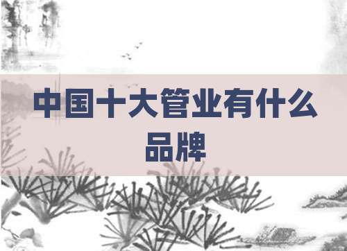 中国十大管业有什么品牌