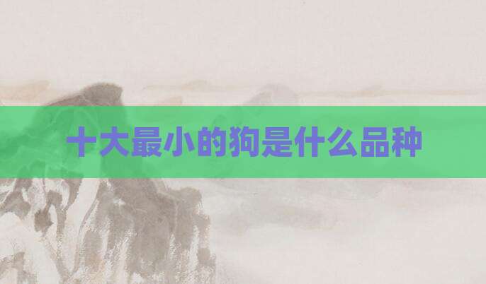 十大最小的狗是什么品种