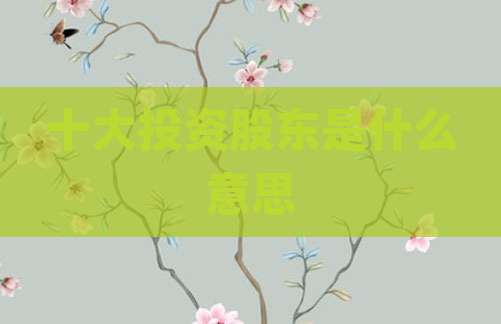 十大投资股东是什么意思