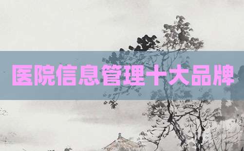医院信息管理十大品牌