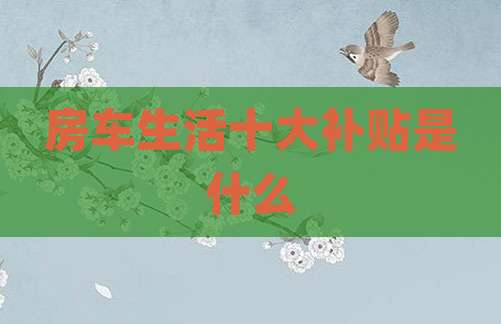房车生活十大补贴是什么