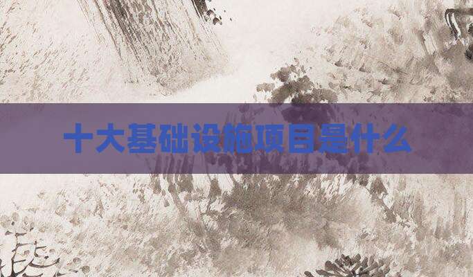 十大基础设施项目是什么