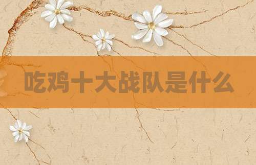 吃鸡十大战队是什么