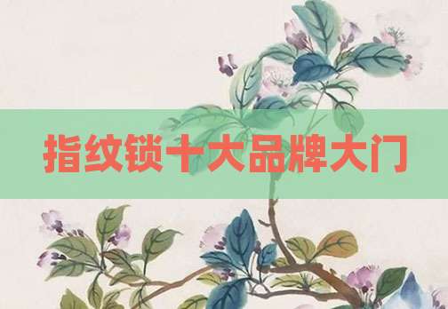 指纹锁十大品牌大门