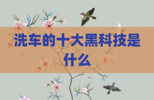 洗车的十大黑科技是什么