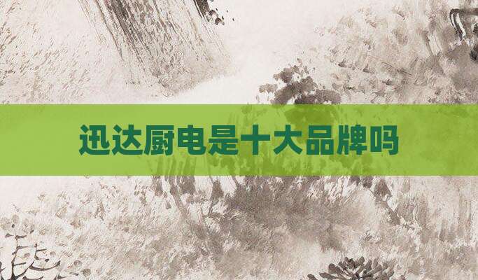 迅达厨电是十大品牌吗