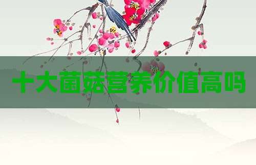十大菌菇营养价值高吗