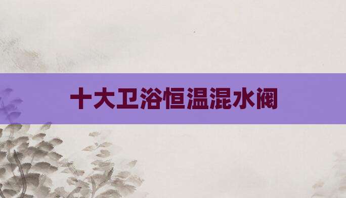 十大卫浴恒温混水阀