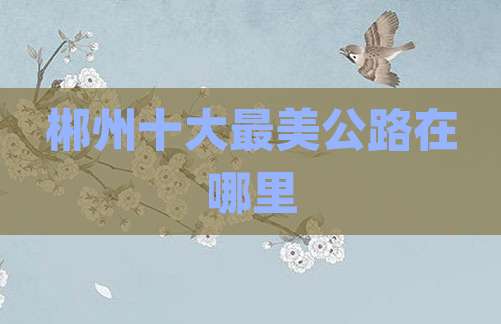 郴州十大最美公路在哪里