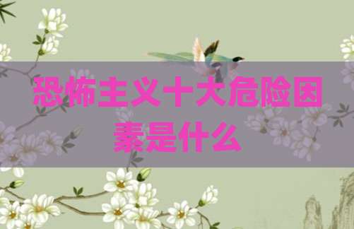 恐怖主义十大危险因素是什么
