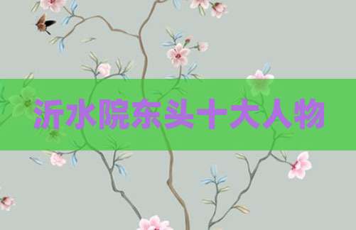 沂水院东头十大人物