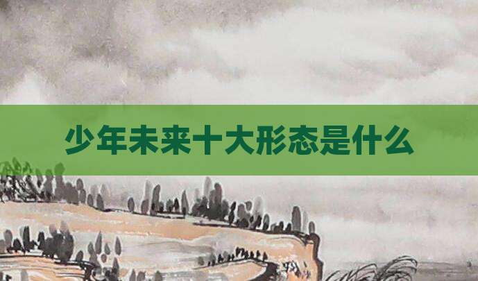 少年未来十大形态是什么