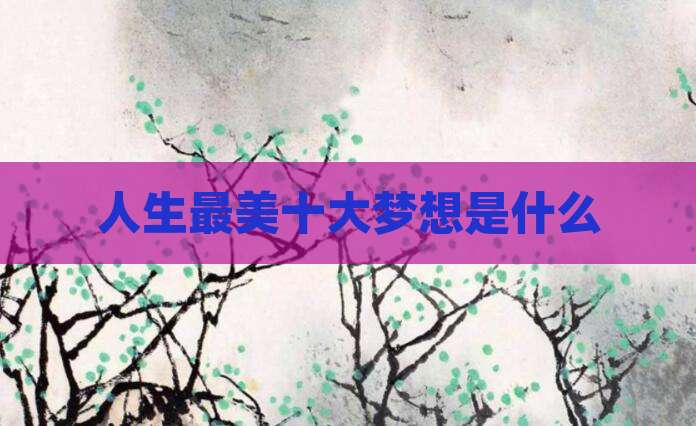 人生最美十大梦想是什么