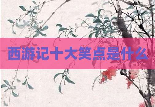 西游记十大笑点是什么