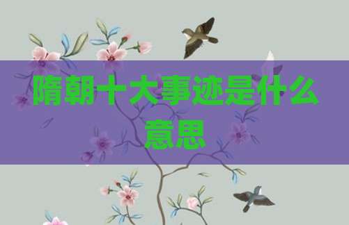 隋朝十大事迹是什么意思