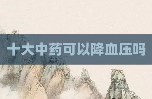 十大中药可以降血压吗