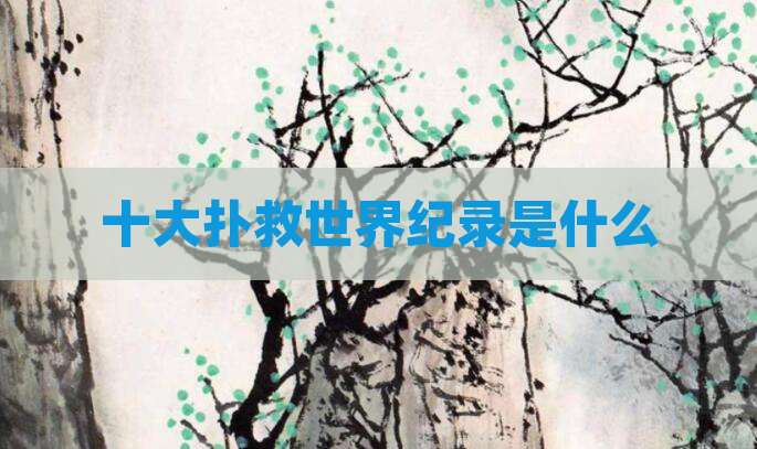 十大扑救世界纪录是什么