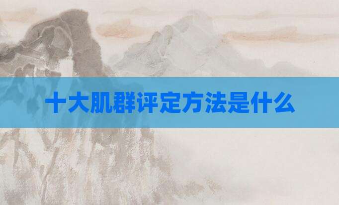 十大肌群评定方法是什么