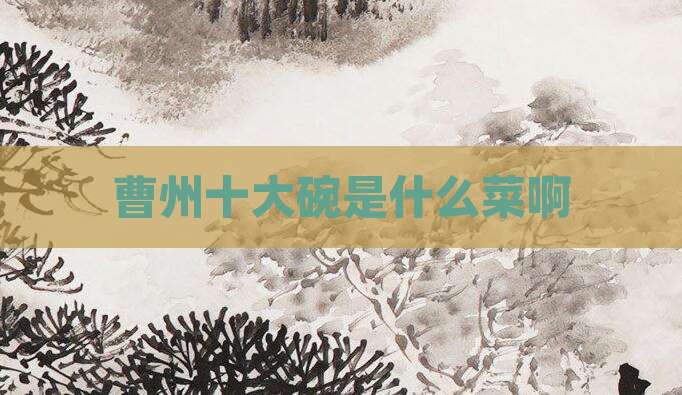 曹州十大碗是什么菜啊