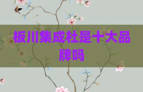 板川集成杜是十大品牌吗