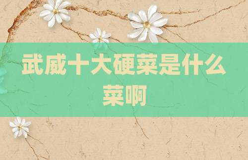 武威十大硬菜是什么菜啊