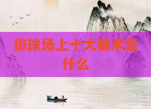 排球场上十大骗术是什么