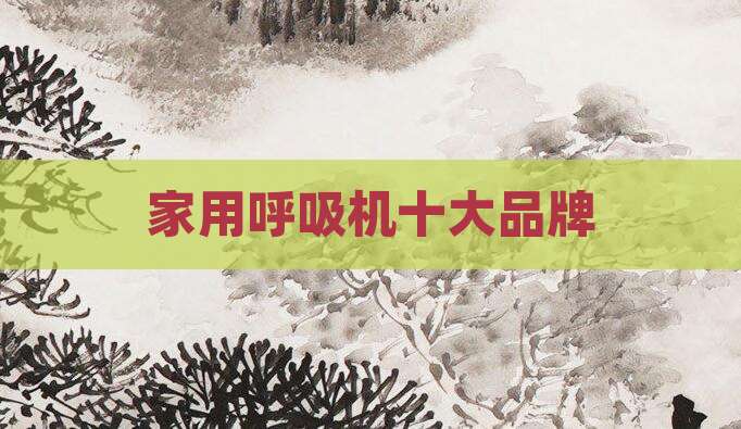 家用呼吸机十大品牌
