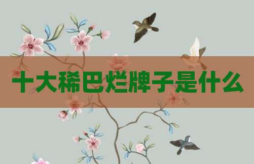 十大稀巴烂牌子是什么