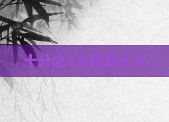 十分之1大还是十大