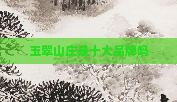 玉翠山庄是十大品牌吗