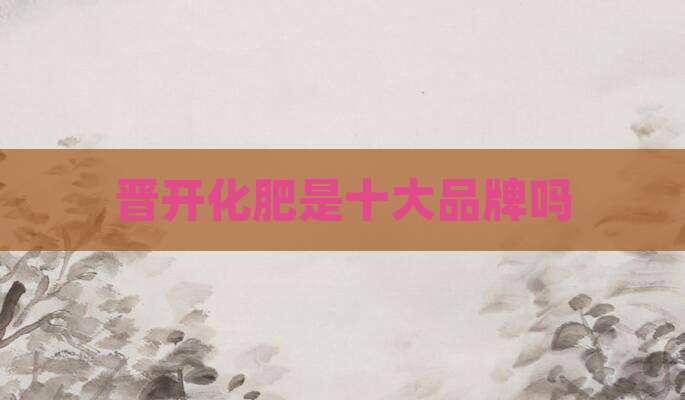 晋开化肥是十大品牌吗