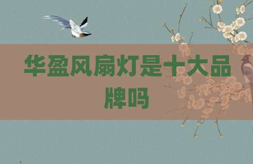 华盈风扇灯是十大品牌吗