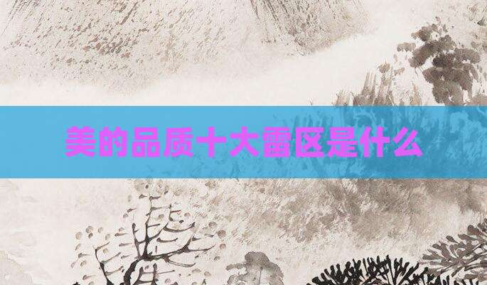 美的品质十大雷区是什么