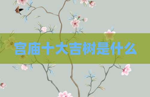 宫庙十大吉树是什么