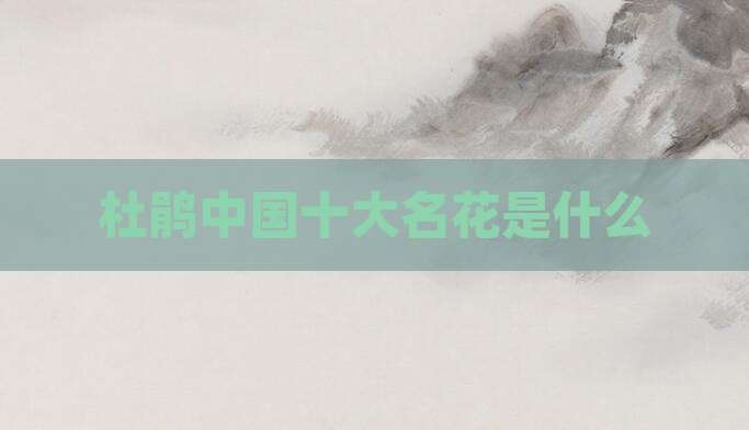 杜鹃中国十大名花是什么