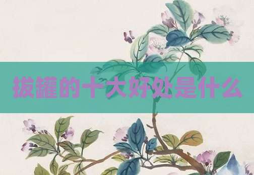 拔罐的十大好处是什么
