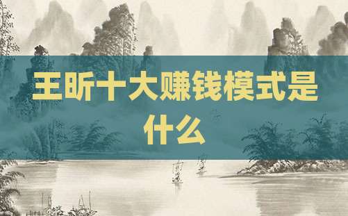 王昕十大赚钱模式是什么