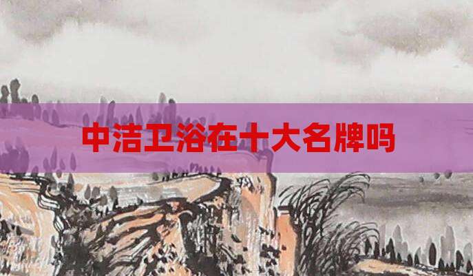 中洁卫浴在十大名牌吗