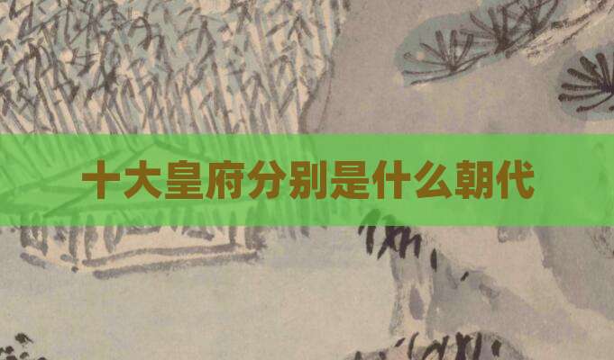 十大皇府分别是什么朝代