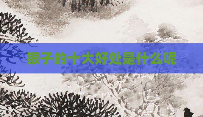 银子的十大好处是什么呢