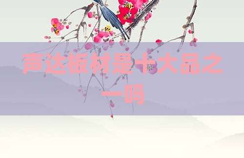 声达板材是十大品之一吗