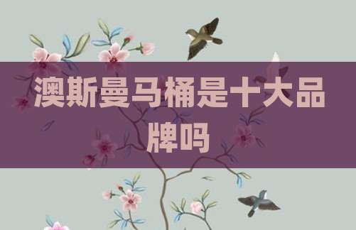 澳斯曼马桶是十大品牌吗