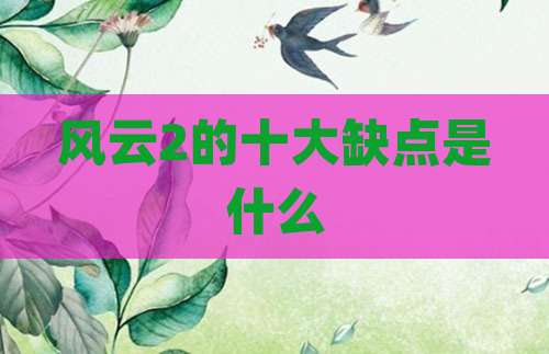 风云2的十大缺点是什么